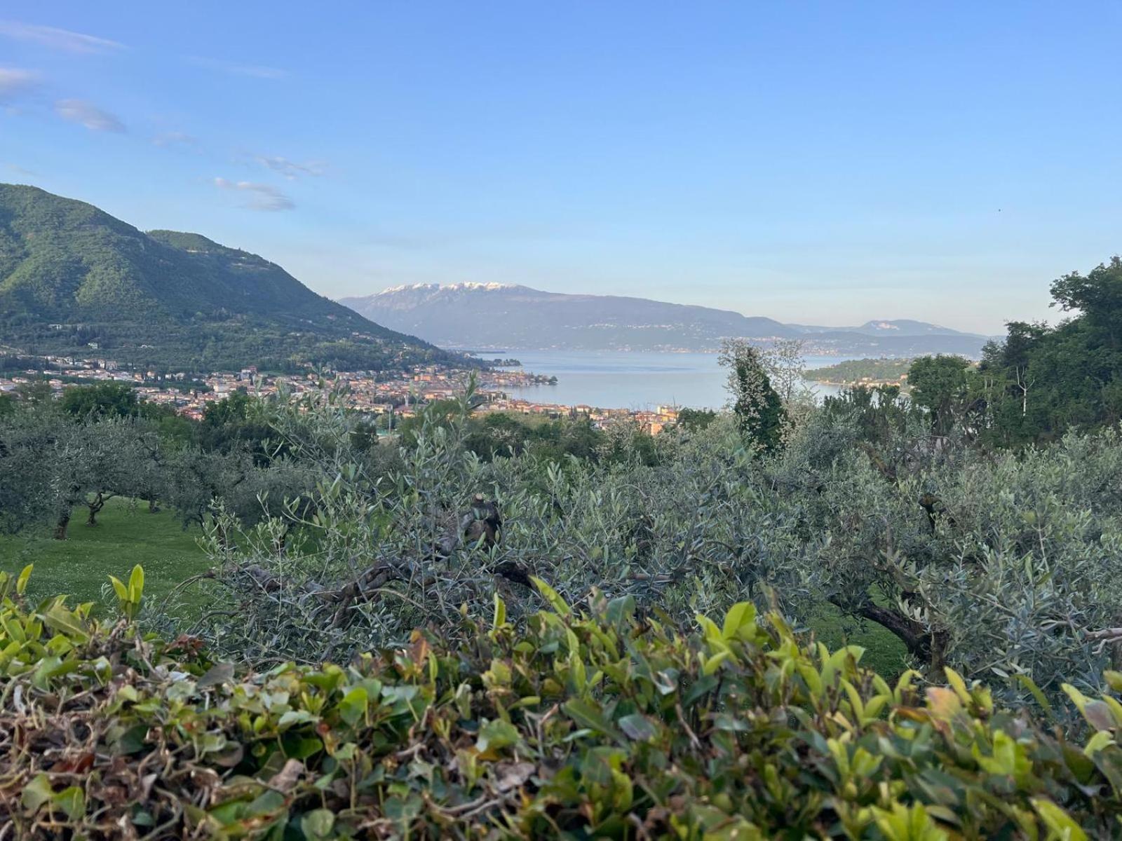 La Finestra Sul Garda Dreaming Holidays 圣菲利斯·德尔·贝纳茨 外观 照片