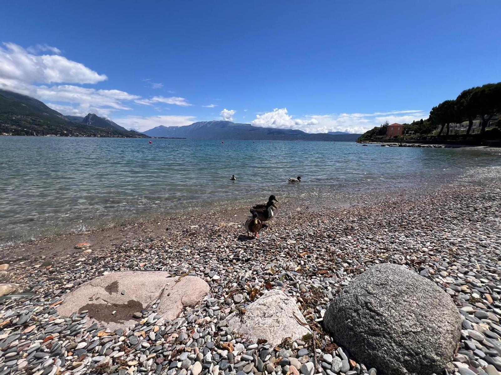 La Finestra Sul Garda Dreaming Holidays 圣菲利斯·德尔·贝纳茨 外观 照片