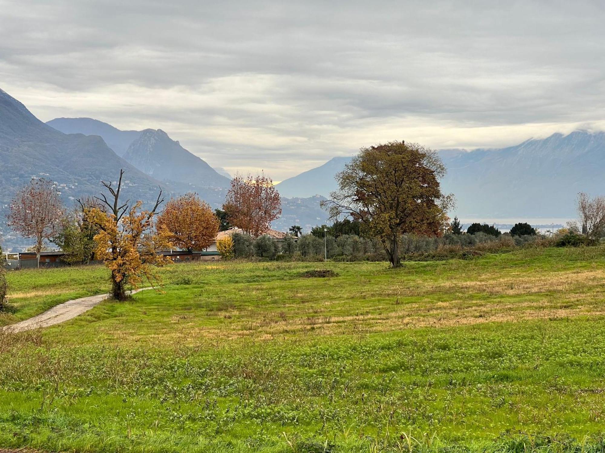 La Finestra Sul Garda Dreaming Holidays 圣菲利斯·德尔·贝纳茨 外观 照片