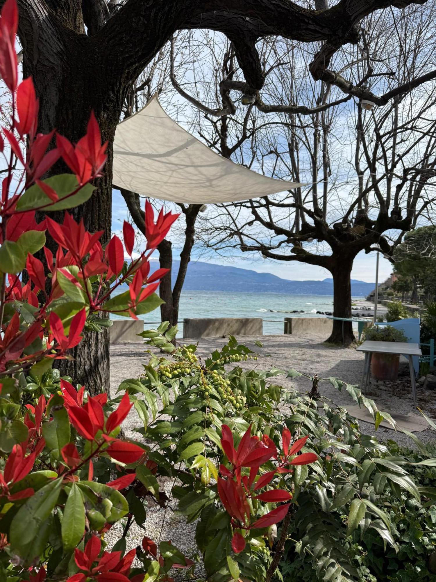La Finestra Sul Garda Dreaming Holidays 圣菲利斯·德尔·贝纳茨 外观 照片